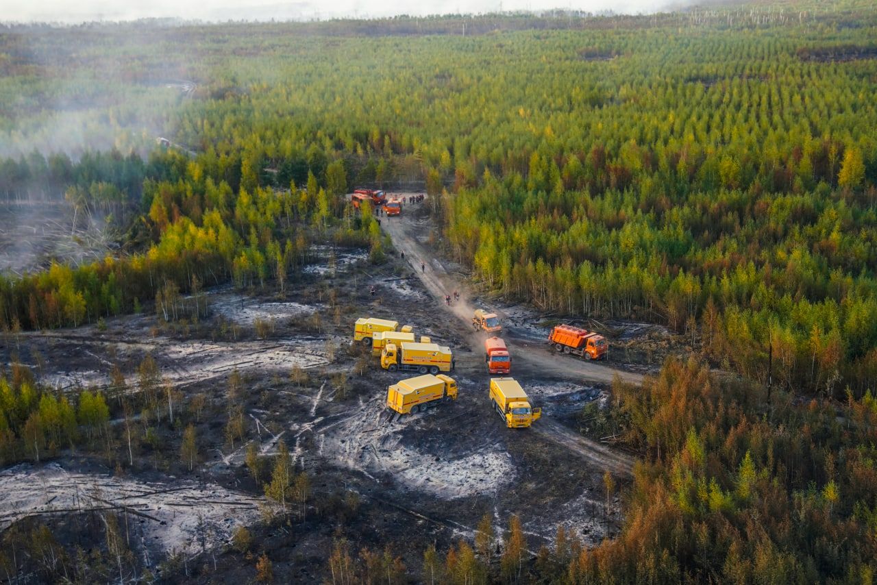 Собянин показал новое видео лесных пожаров в Рязанской области