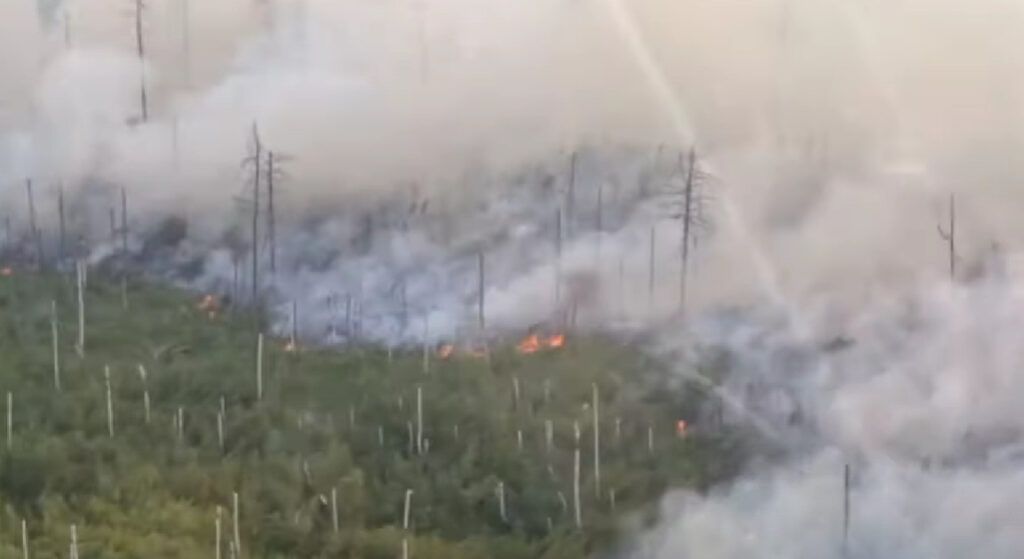 Владимир Путин: В Рязанской области очаги лесных пожаров находятся в 5-километровой зоне от населённых пунктов