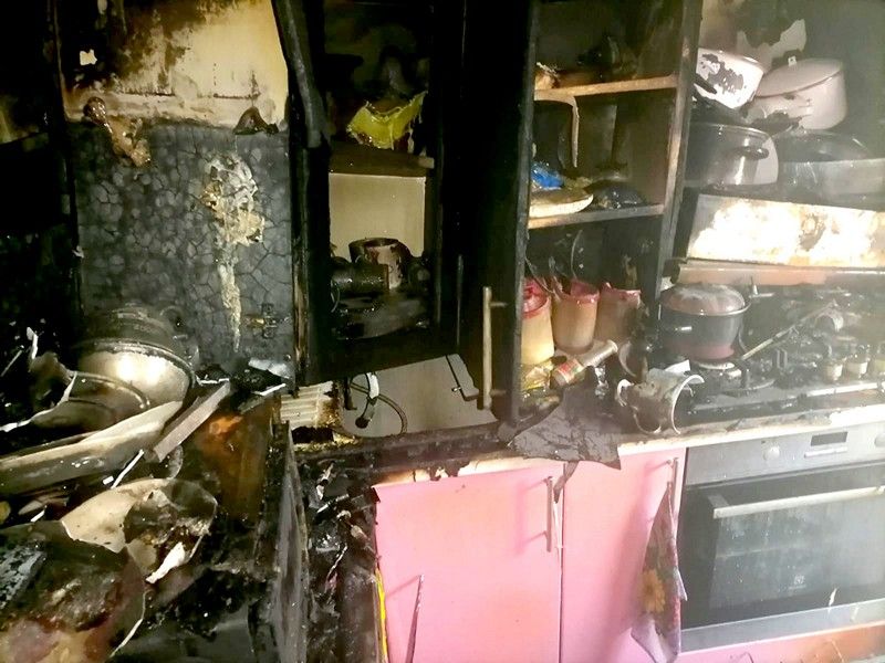 В Новомичуринске мальтийская болонка погибла, выпрыгнув с пятого этажа из горящей квартиры
