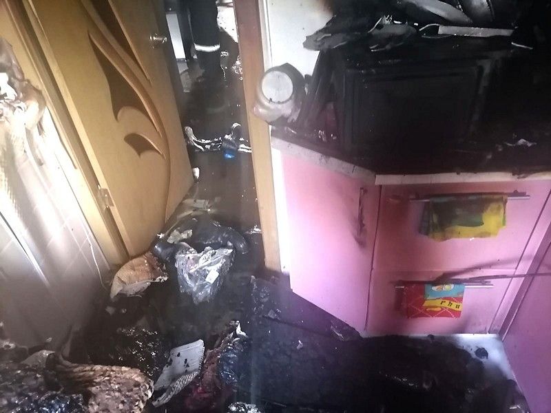 В Новомичуринске мальтийская болонка погибла, выпрыгнув с пятого этажа из горящей квартиры