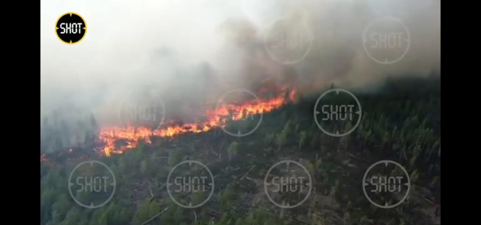 Эпицентр лесного пожара под Рязанью сняли на видео