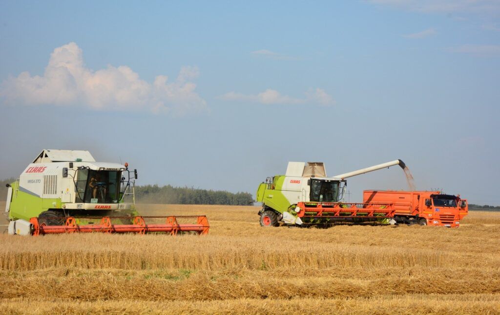 Аграрии Рязанской области продолжают уборку зерновых, масличных, овощных и кормовых культур