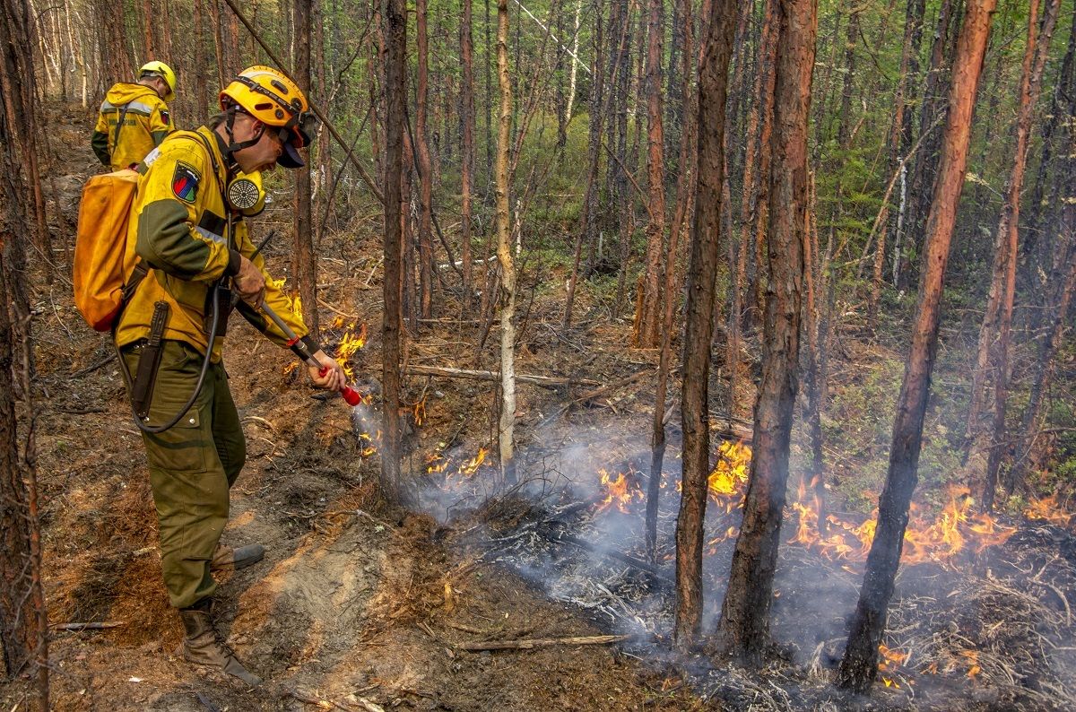 Часть спасателей и техники начали выводить с тушения пожаров в Рязанской области