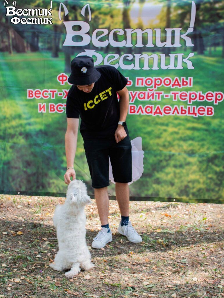 В Рязани в седьмой раз прошёл собачий фестиваль «Вестик-Фестик»