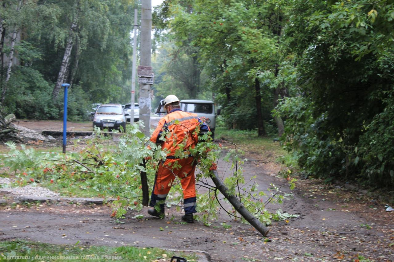 В Рязани пилят аварийные деревья в Нижнем городском парке