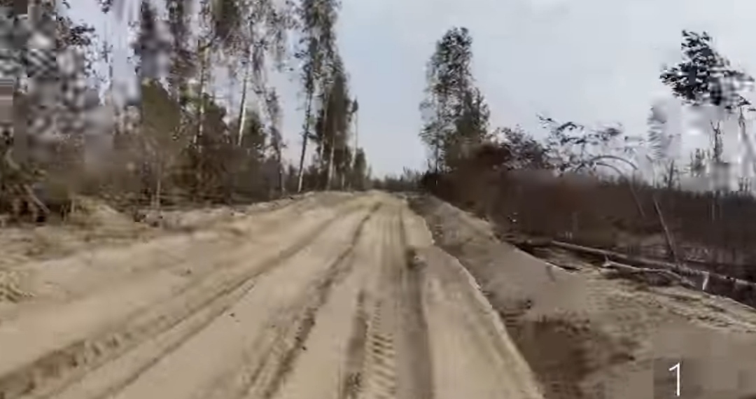 Опубликовано видео с последствиями лесного пожара под Рязанью