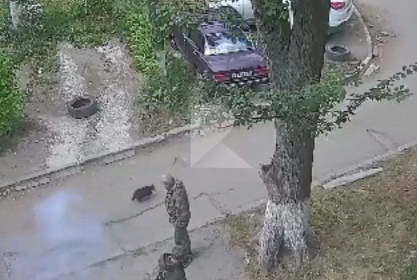 В Рязани попал на видео мужчина, выстреливший в собаку