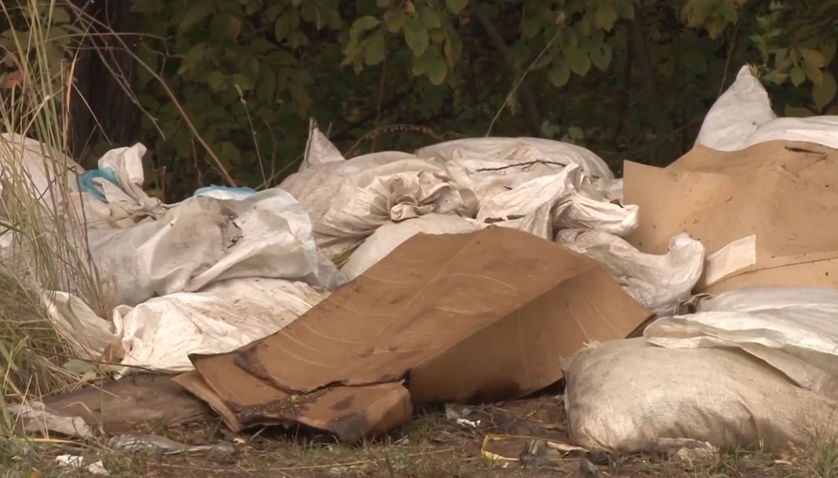 В Московском районе Рязани нашли незаконную свалку рыбных отходов