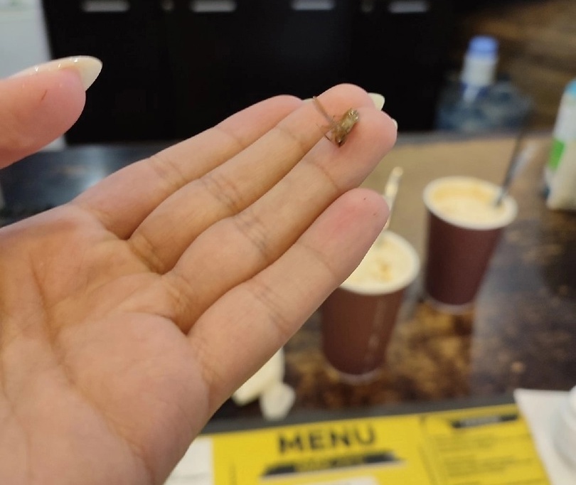 Посетительница кафе в центре Рязани обнаружила таракана в кофе