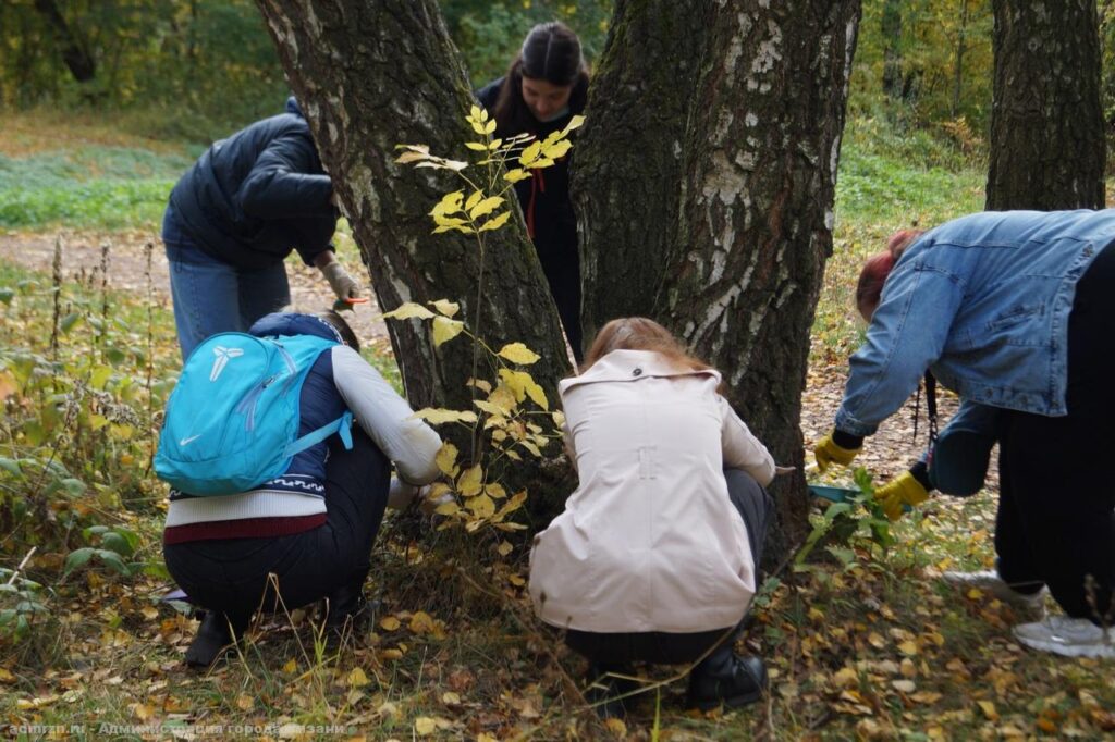 В рязанском ЦПКиО уничтожили личинки непарного шелкопряда В борьбе с вредителем участвовали волонтёры проекта "Оставайся живым".
