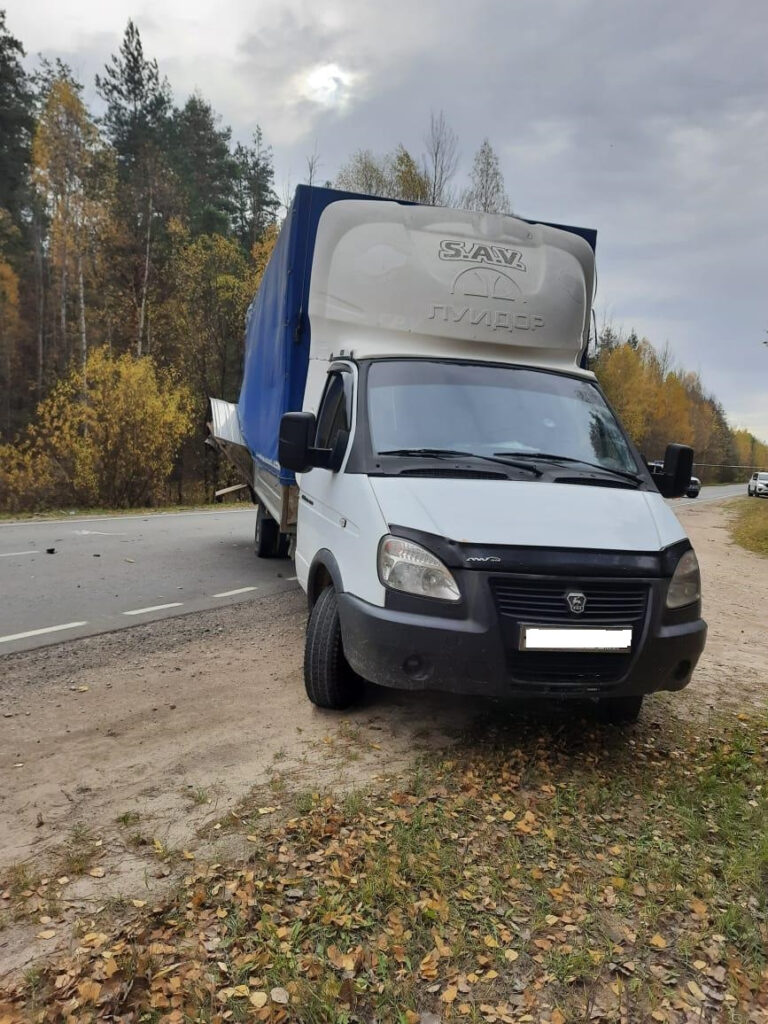 В Касимовском районе произошло смертельное ДТП с участием легковушки и ГАЗели