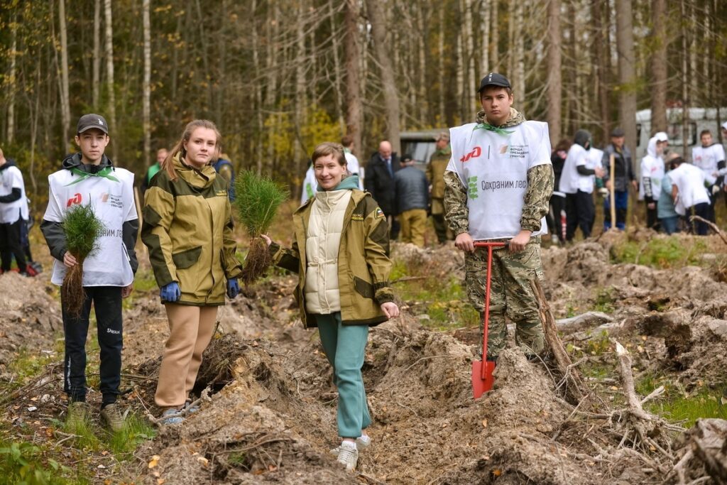 В Шиловском районе высадили сосны в рамках акции «Сохраним лес» Высажено 12 тысяч сеянцев сосны обыкновенной.