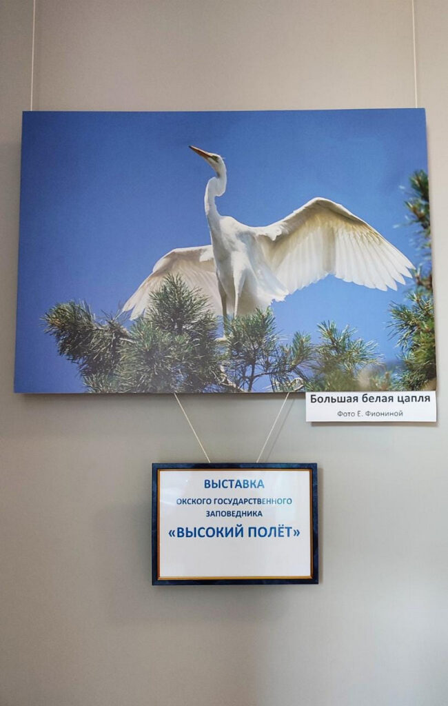 В музее Циолковского работает фотовыставка Окского заповедника