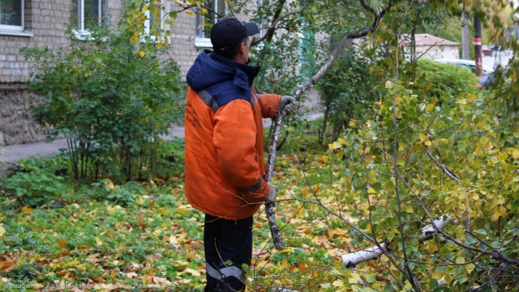 10 октября на улице Высоковольтной спилили аварийные деревья 10 октября на улице Высоковольтной спилили аварийные деревья Также Дирекция благоустройства провела обрезку каштана, 29 берёз и 9 лип.