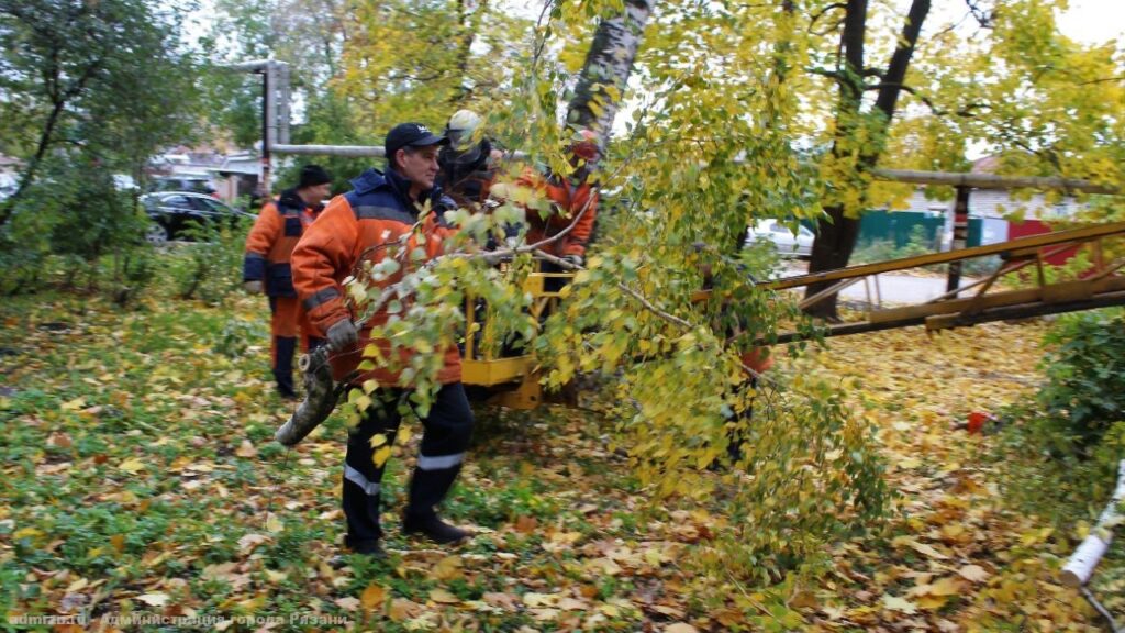 10 октября на улице Высоковольтной спилили аварийные деревья 10 октября на улице Высоковольтной спилили аварийные деревья Также Дирекция благоустройства провела обрезку каштана, 29 берёз и 9 лип.