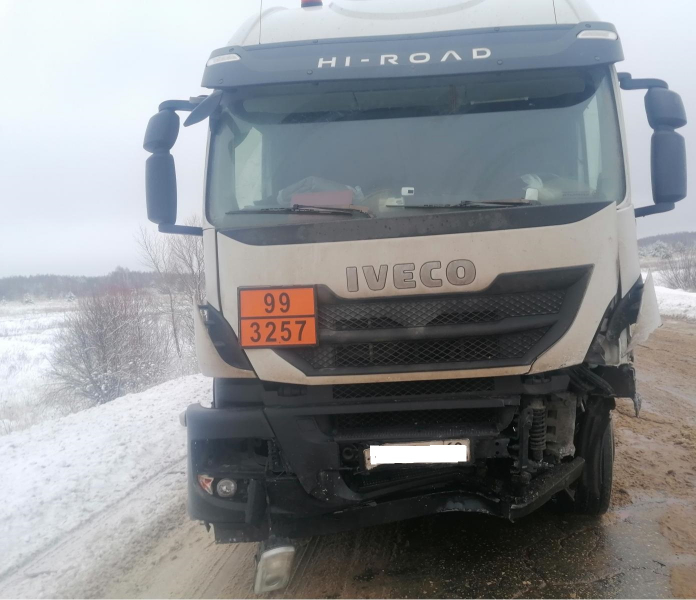 УМВД по Рязанской области опубликовало фото с места автокатастрофы в Пителинском районе