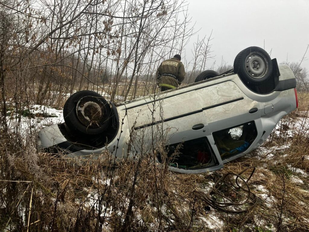 Renault Logan опрокинулся в кювет в Ухоловском районе Рязанской области