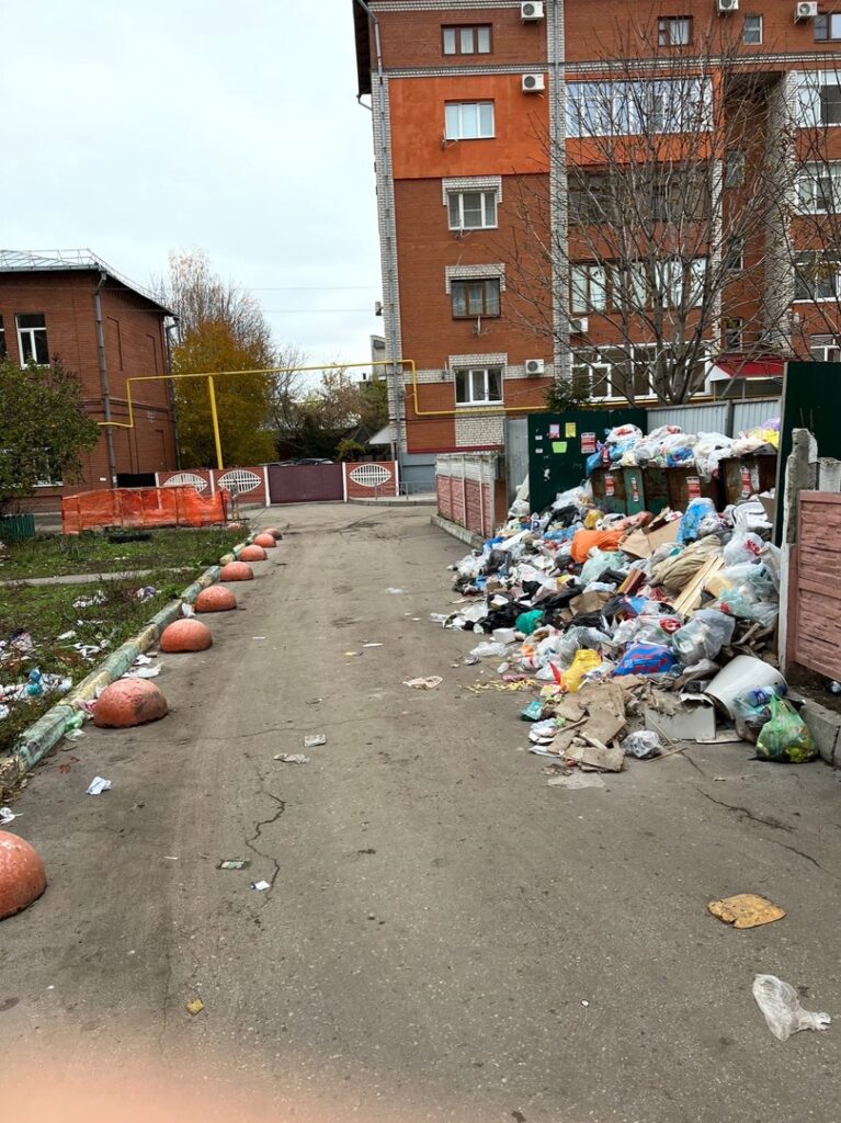 В центре Рязани двор зарастает мусором