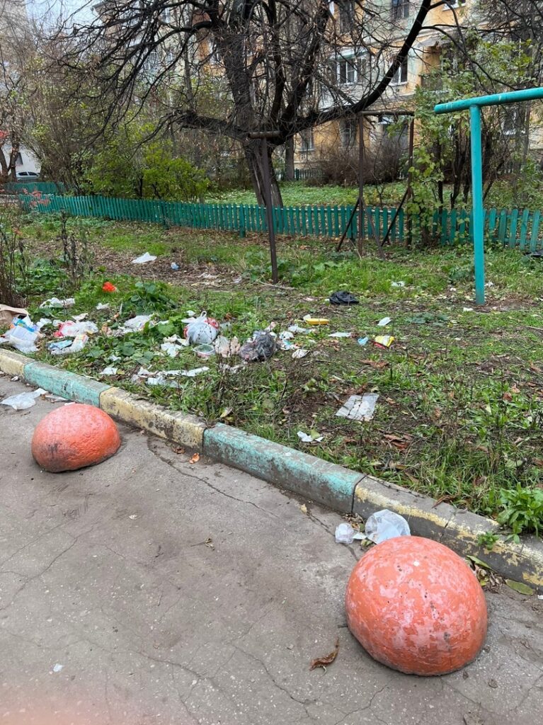В центре Рязани двор зарастает мусором