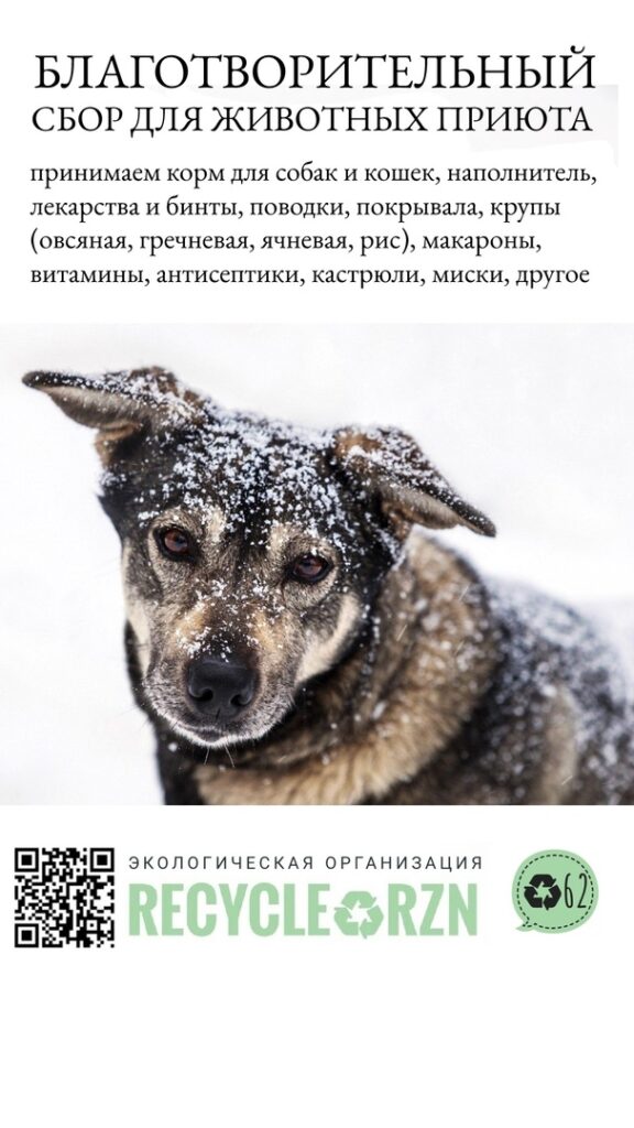 В Рязани соберут благотворительную помощь для животных приюта