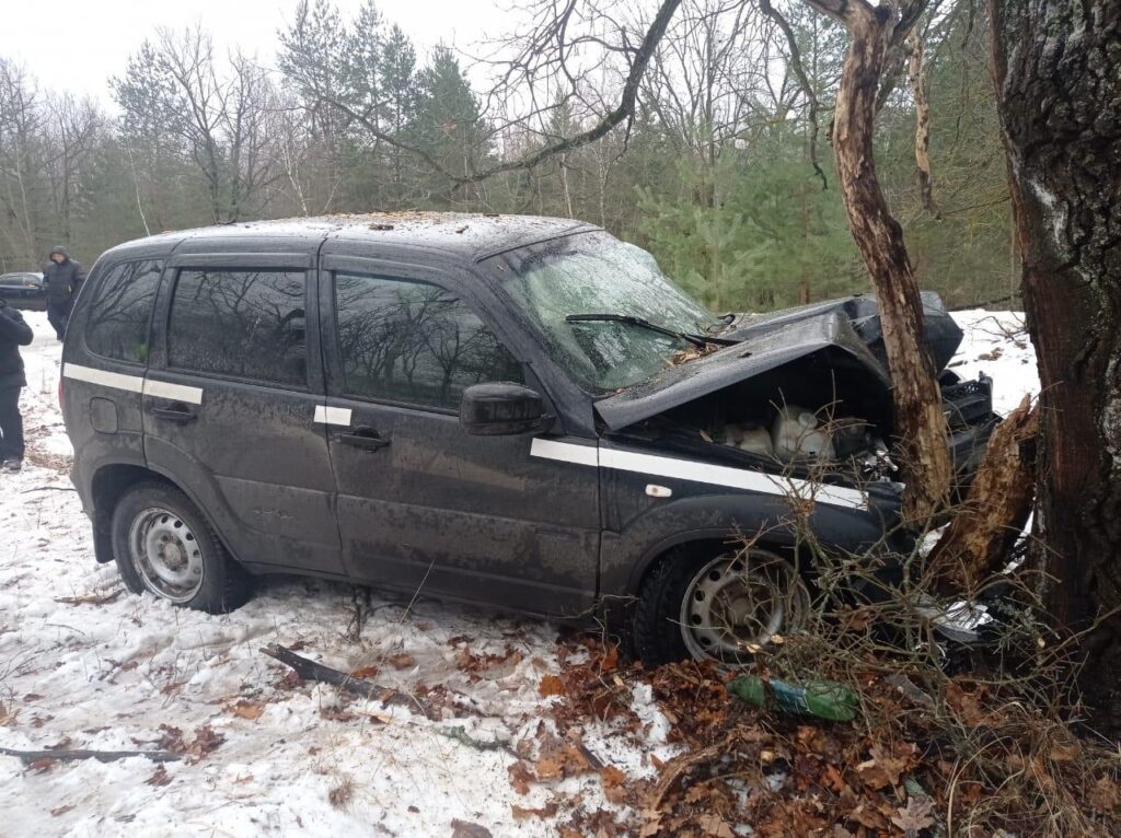 В Ряжском районе Chevrolet Niva врезалась в дерево, пострадали 2 человека