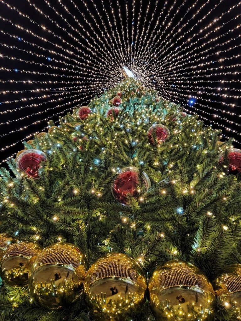 На Лыбедском бульваре в Рязани установлена 16-метровая новогодняя ель