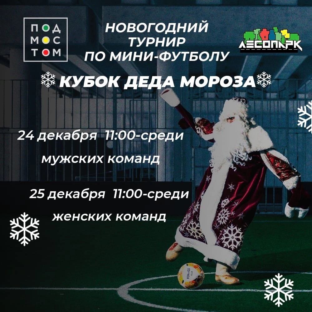 В рязанском Лесопарке пройдёт турнир по мини-футболу на кубок Деда Мороза