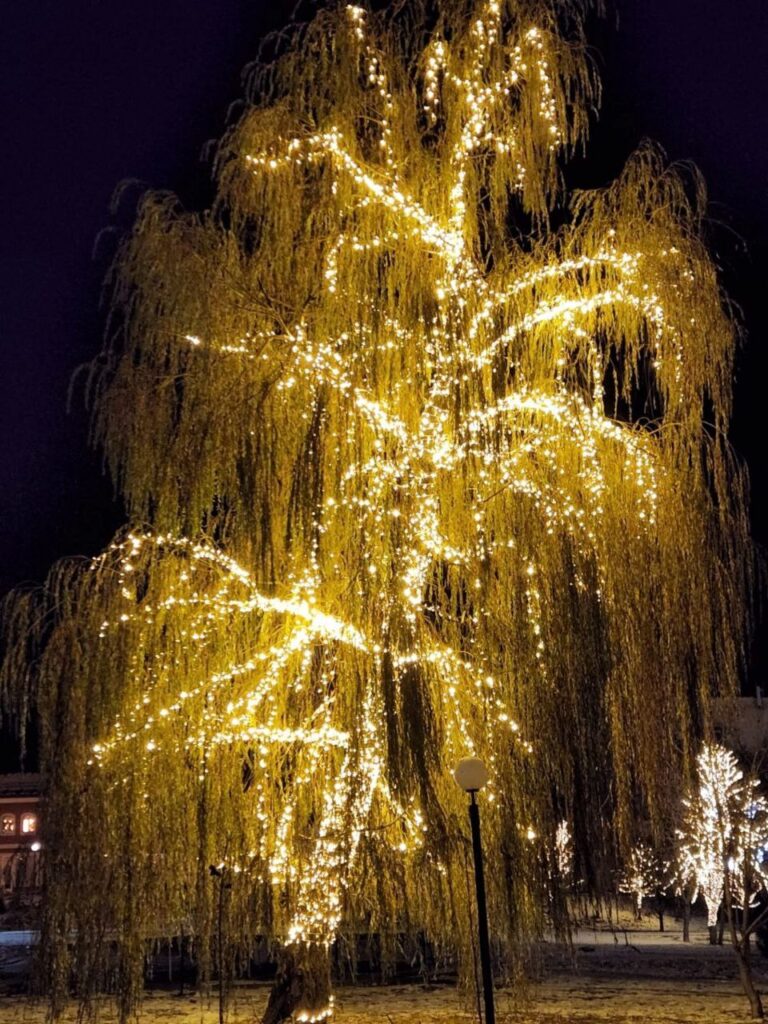 На Лыбедском бульваре в Рязани монтируют новогоднюю иллюминацию