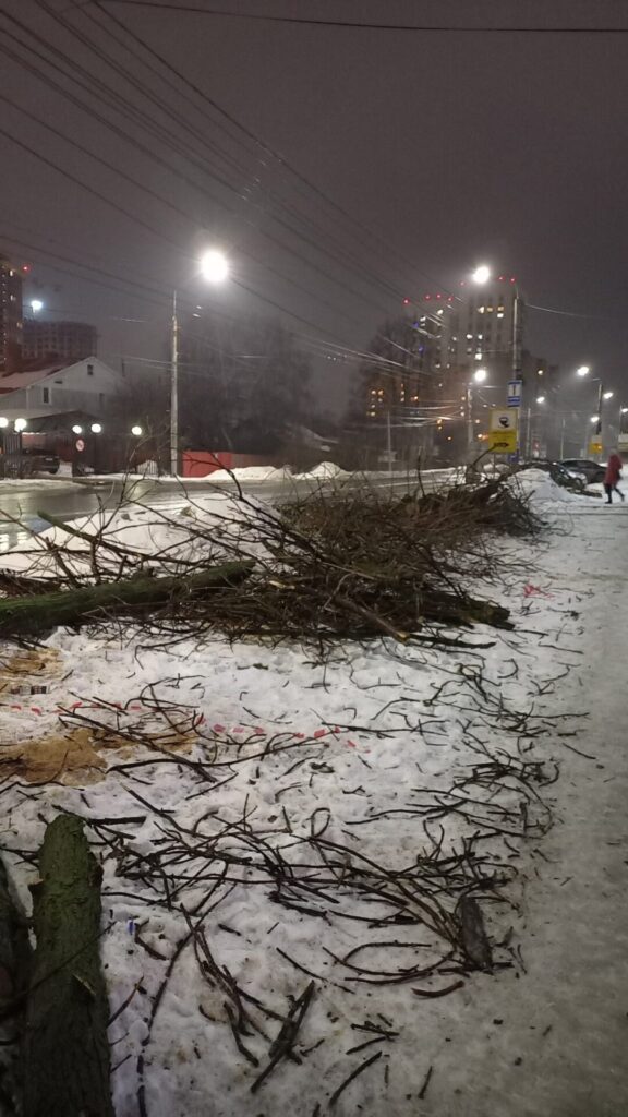На улице Мервинской в Рязани спилили деревья