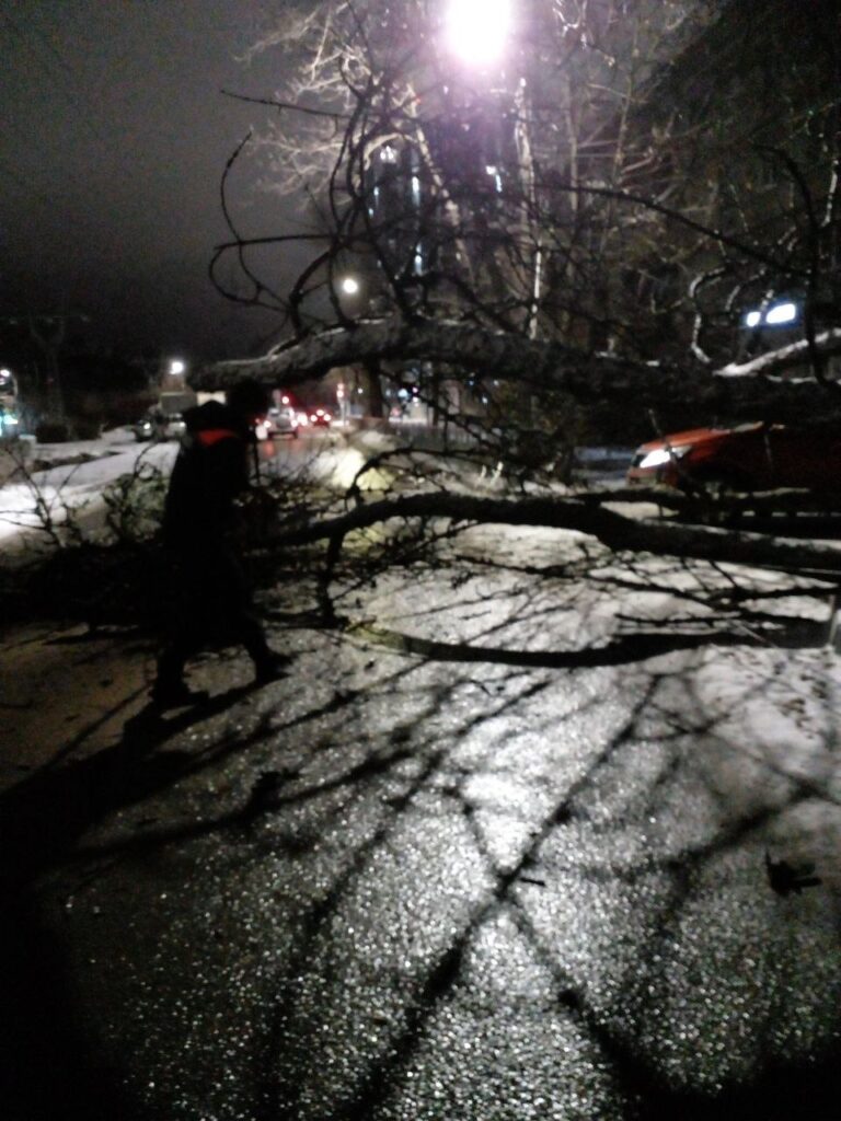 Дерево упало на дорогу на улице Дзержинского в Рязани