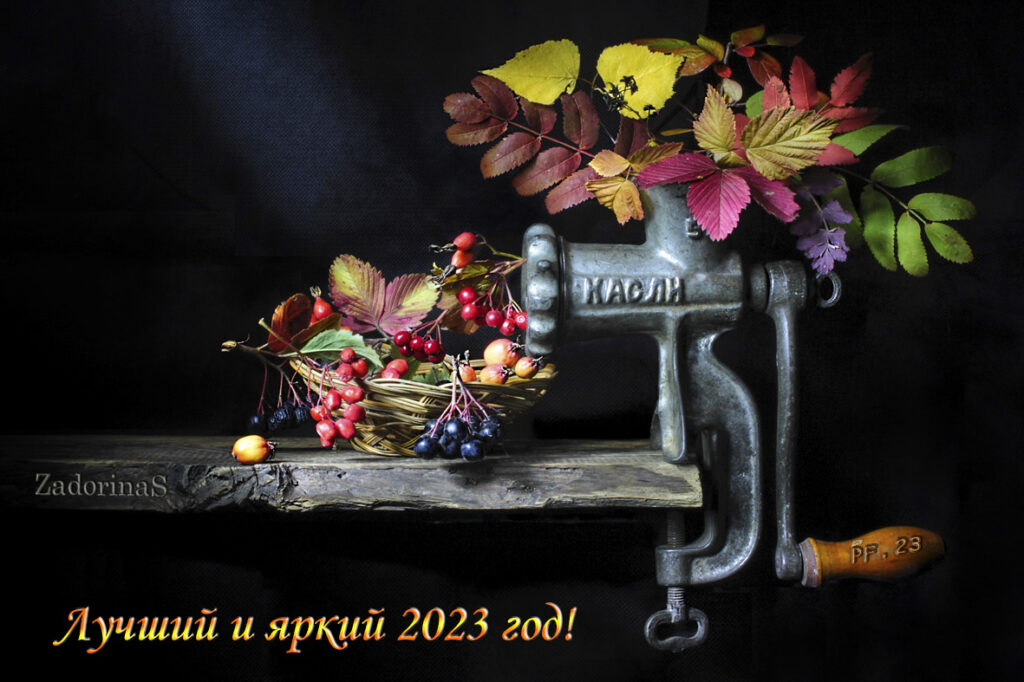 Рязанский музей путешественников приглашает на выставку «Новогодняя открытка – 2023»