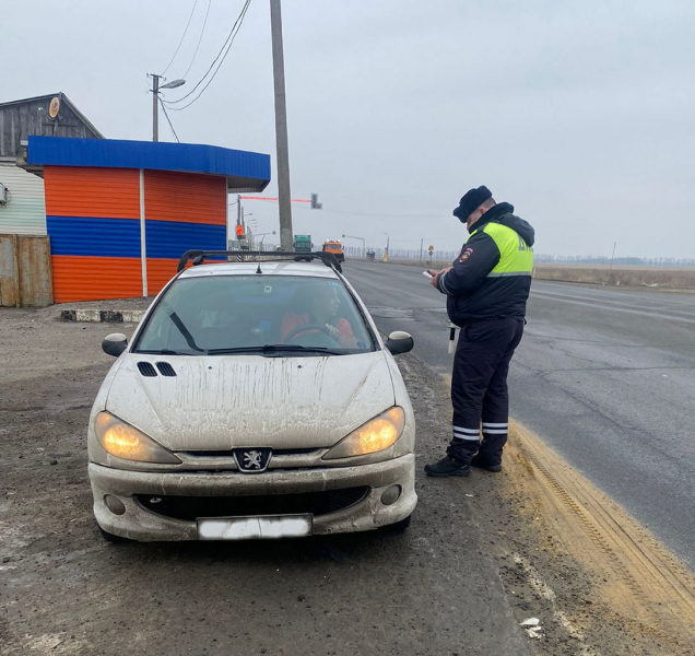Полицейские в Рязанской области в выходные дни раскрыли 28 преступлений