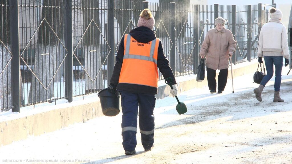 На улицах Рязани продолжаются уборка и зимняя обрезка деревьев