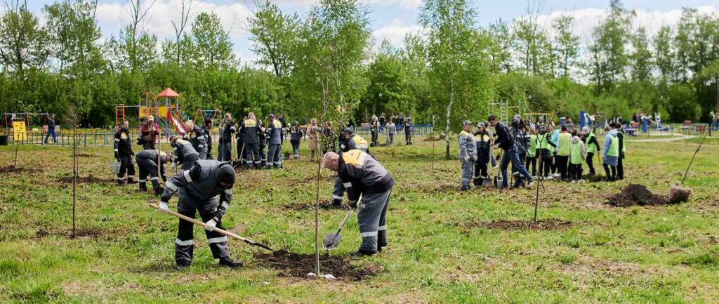 РНПК в 2022 году высадила свыше 600 саженцев деревьев