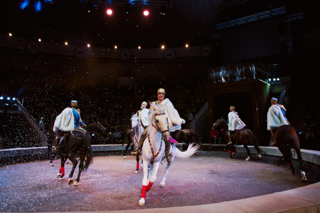 Рязанцев приглашают на яркое цирковое шоу о многонациональной культуре России «Вместе целая страна»