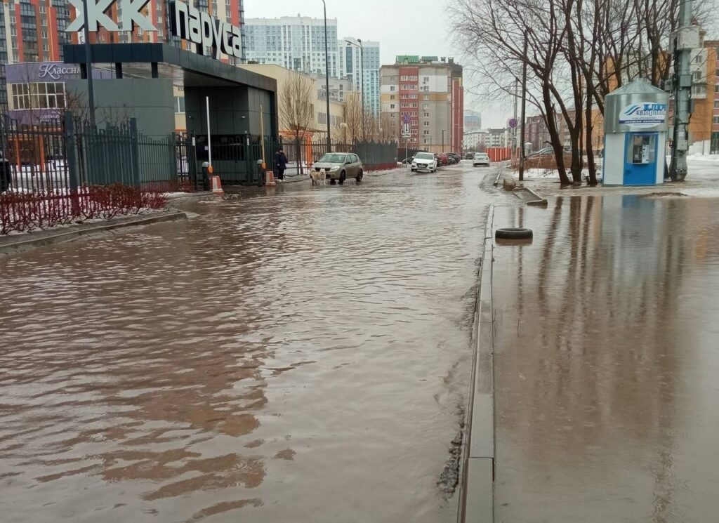 Рязанцы делятся в соцсетях фото затопленного города