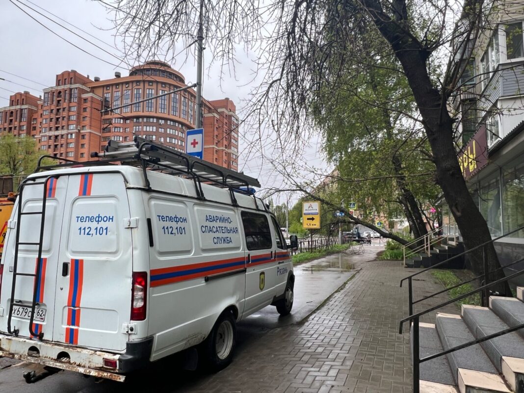 На перекрёстке в Рязани дерево упало на провода