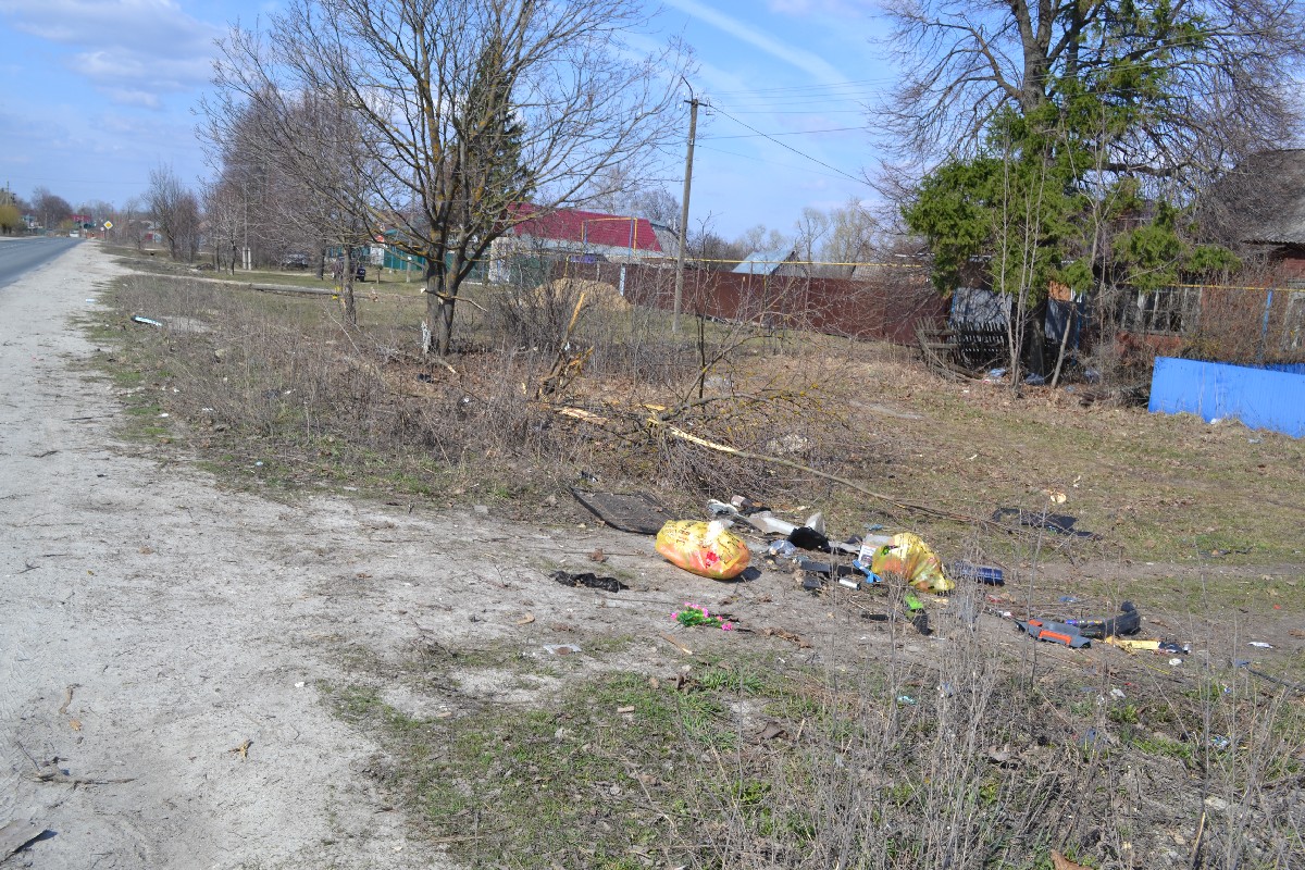 В Рязанской области иномарка врезалась в дерево, водитель погиб |  09.04.2023 | Рязань - БезФормата