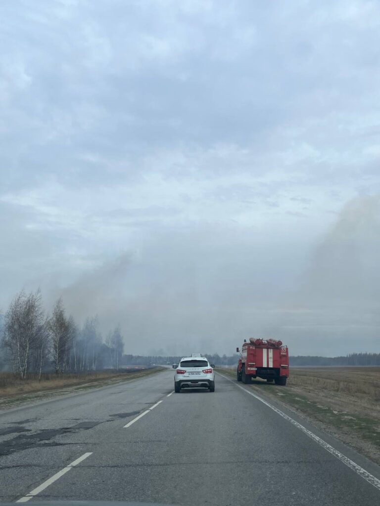 У дороги в Пронском районе горит трава
