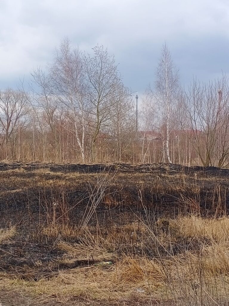 В Недостоеве снова тушили горящую траву На место выезжал один пожарный расчёт. Огонь пришлось заливать.