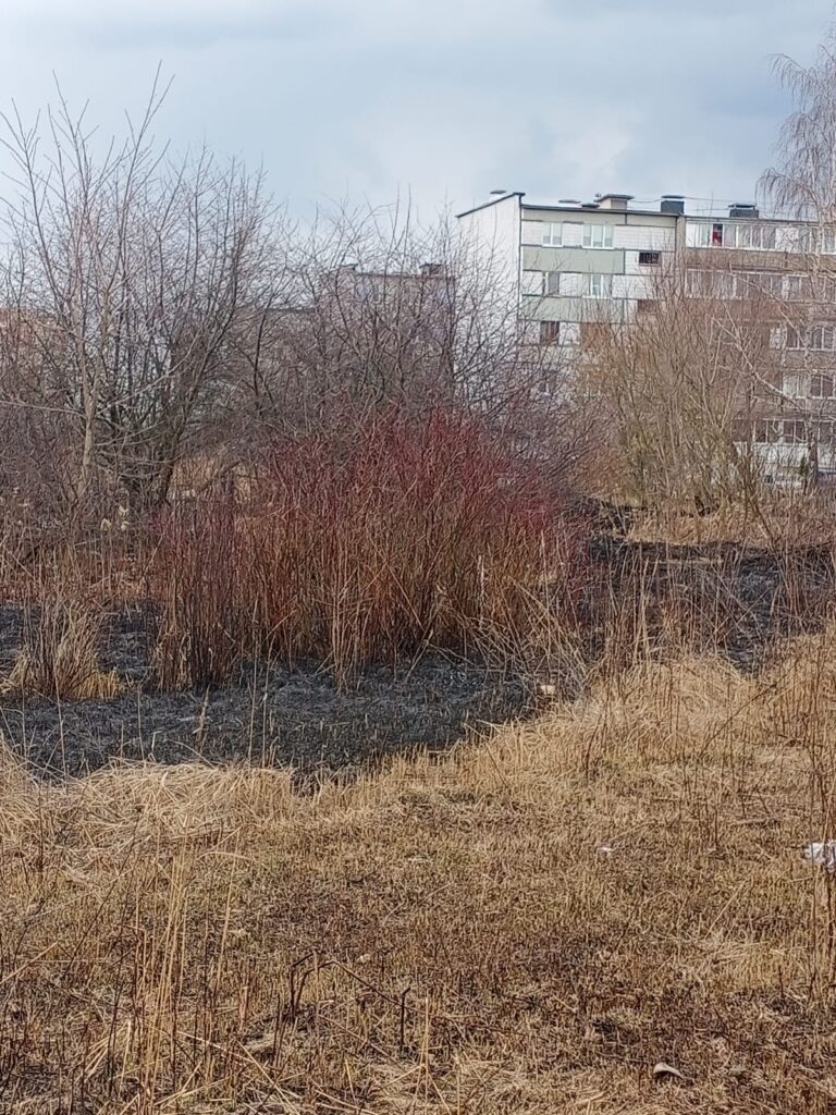 В Недостоеве снова тушили горящую траву На место выезжал один пожарный расчёт. Огонь пришлось заливать.