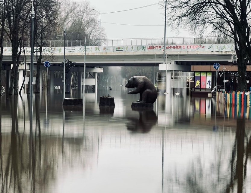 Рязанский Лесопарк – разлив весны 2023