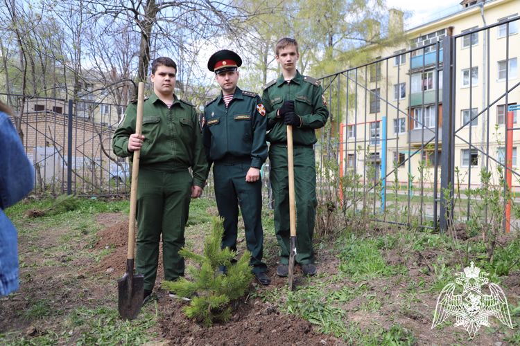 Росгвардейцы и школьники посадили сосны на территории рязанской школы №38