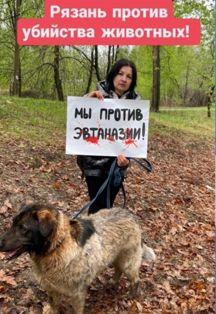 В Рязани активисты выступили против законопроекта об эвтаназии бездомных животных