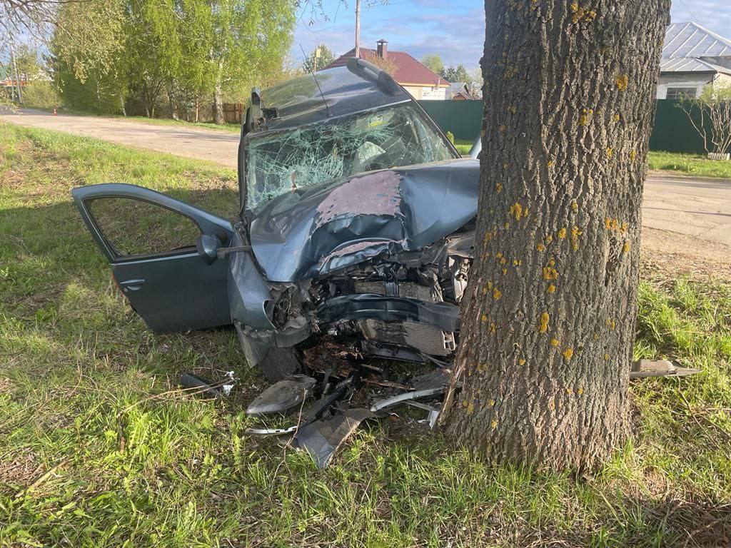 В Рязанской области водитель Renault Duster погиб после наезда на дерево