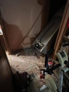 Сын зарубил топором 87-летнюю женщину в Москве Тело женщины с рубленными ранами обнаружено в квартире дома на улице Профсоюзной.