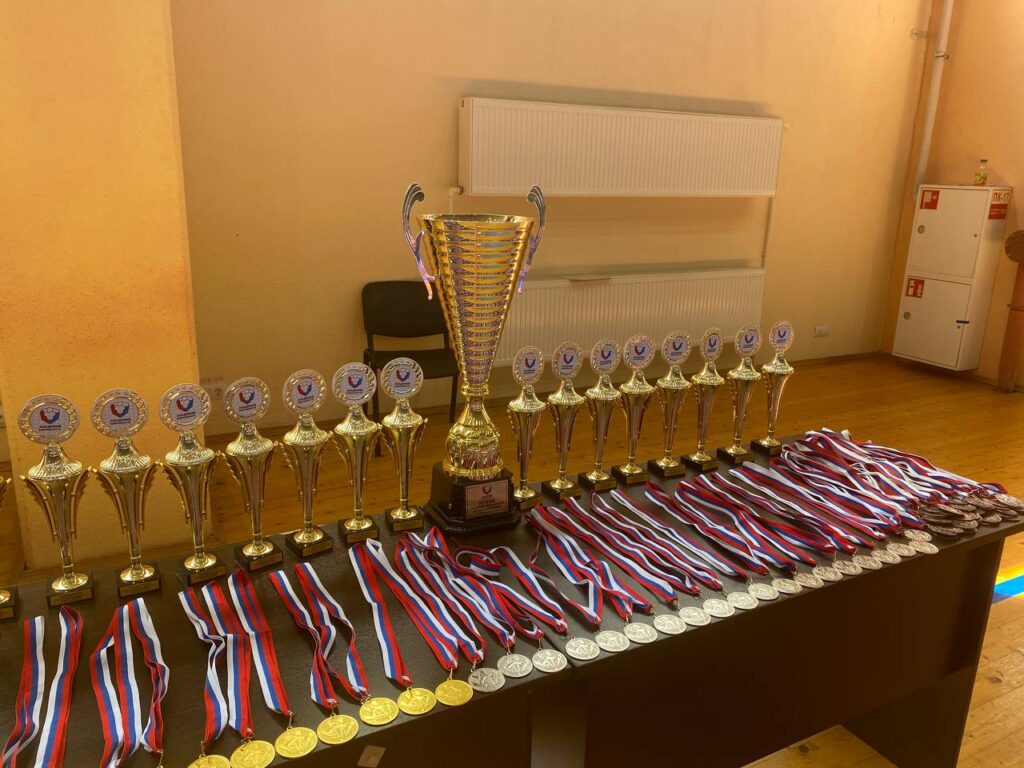 Благотворительный фонд «Мамино сердце» организовал первый в Рязани турнир «Кубок Академии единоборств»