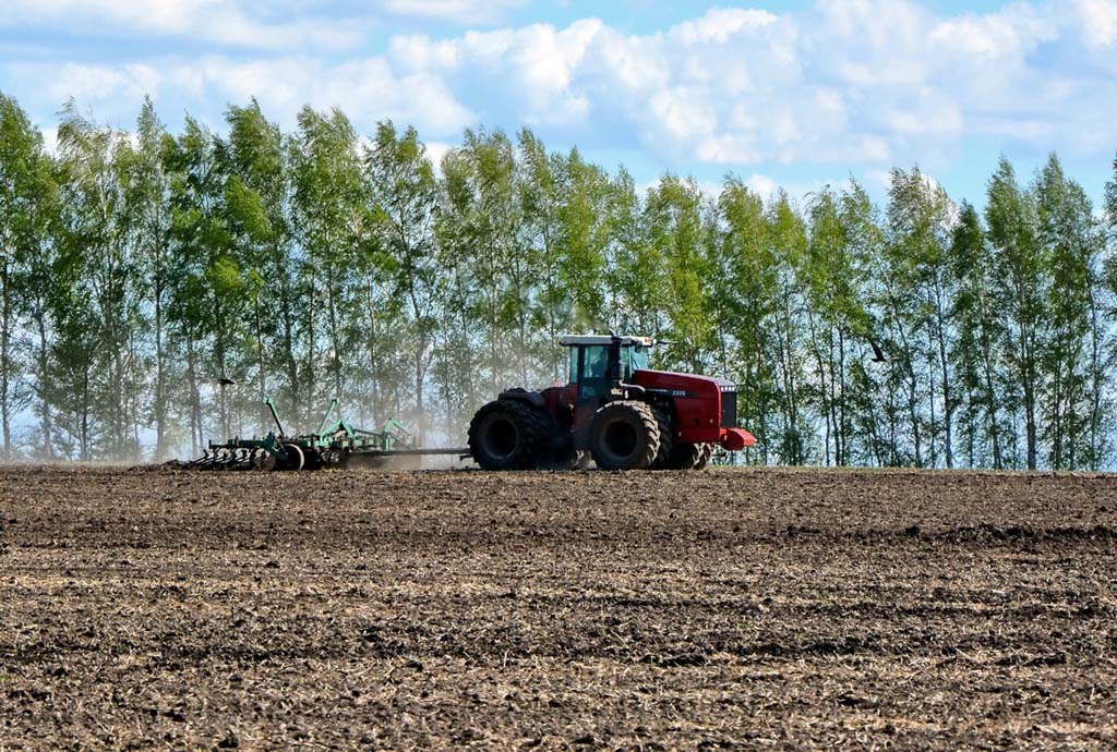 Рязанские аграрии пересеяли две трети пострадавших посевов озимых