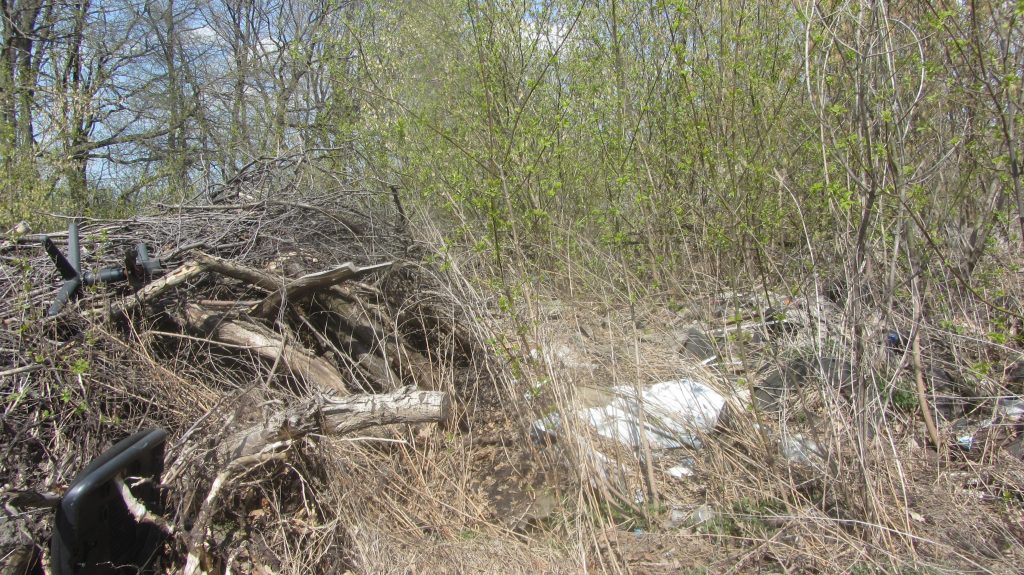 На сельхозземлях в Рязанском районе обнаружили свалку строительных и бытовых отходов