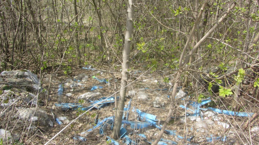 На сельхозземлях в Рязанском районе обнаружили свалку строительных и бытовых отходов